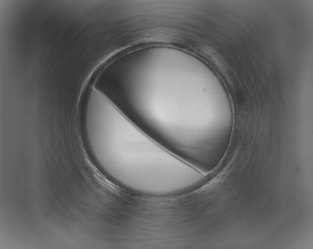 X0000074000779200608211413
