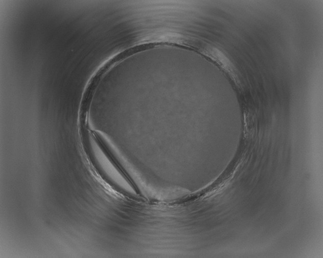 X0000074000780200608211413