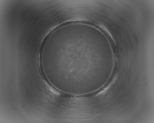 X0000074000781200608211413