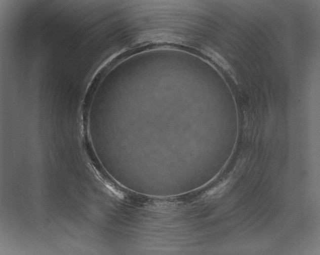 X0000074000782200608211413
