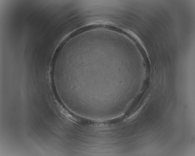 X0000074000783200608211413
