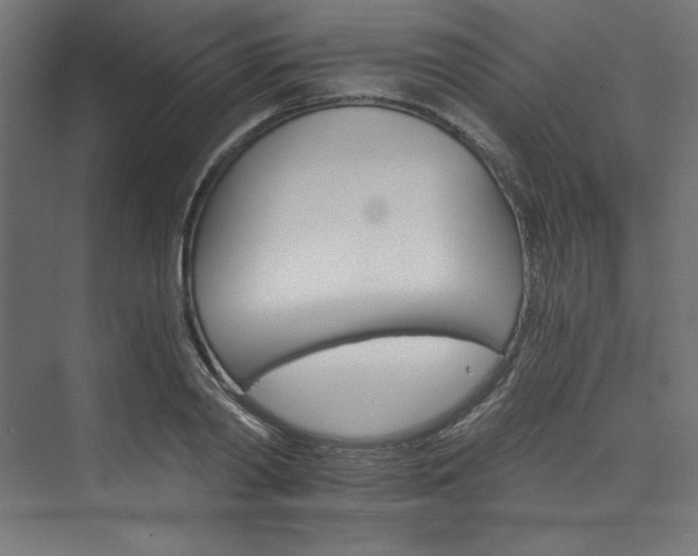 X0000074000790200608211412