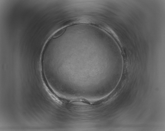 X0000074000795200608211412