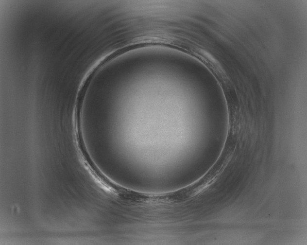X0000074000796200608211412