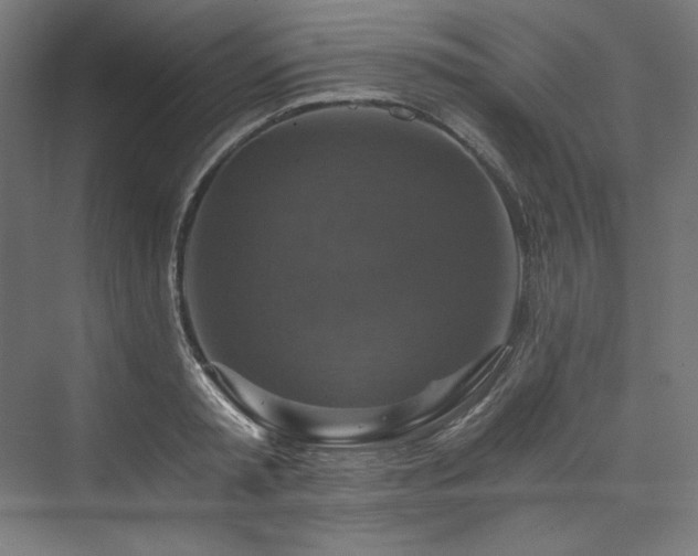 X0000074000797200608211412