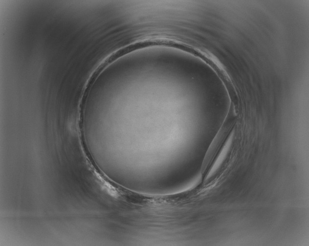 X0000074000799200608211412