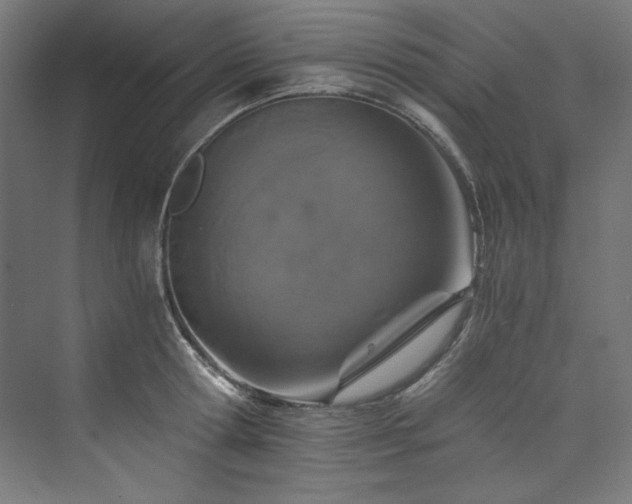 X0000074000802200608211412