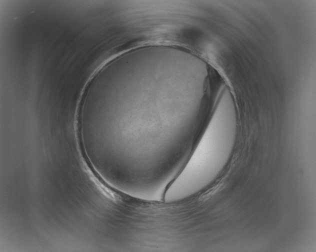 X0000074000803200608211412
