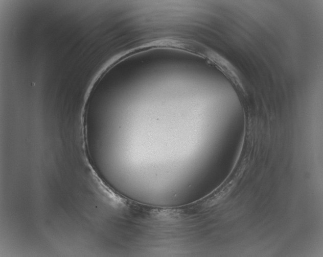 X0000074000808200608211412