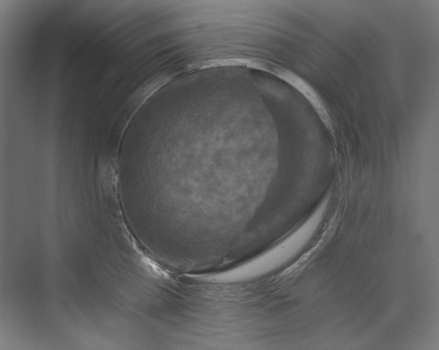 X0000074000809200608211412