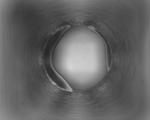 X0000074000818200608211411