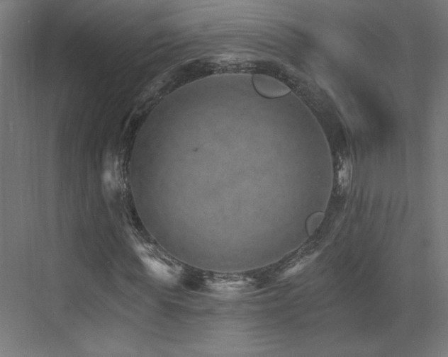 X0000074000819200608211411