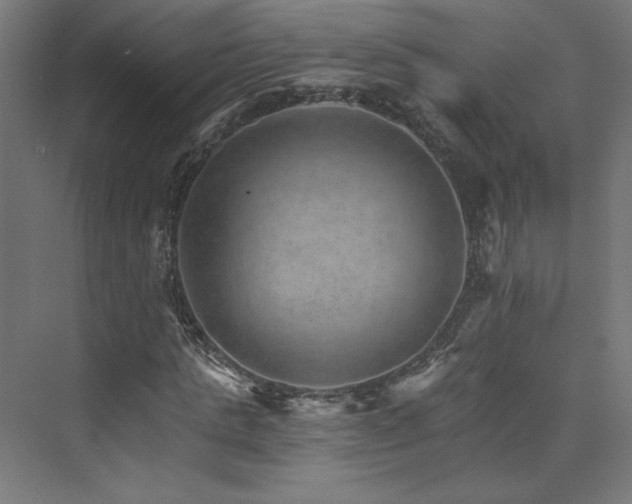 X0000074000821200608211411