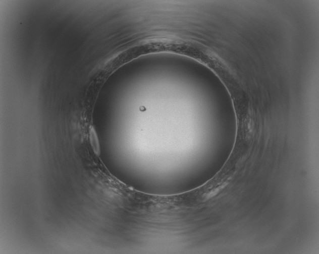 X0000074000822200608211411