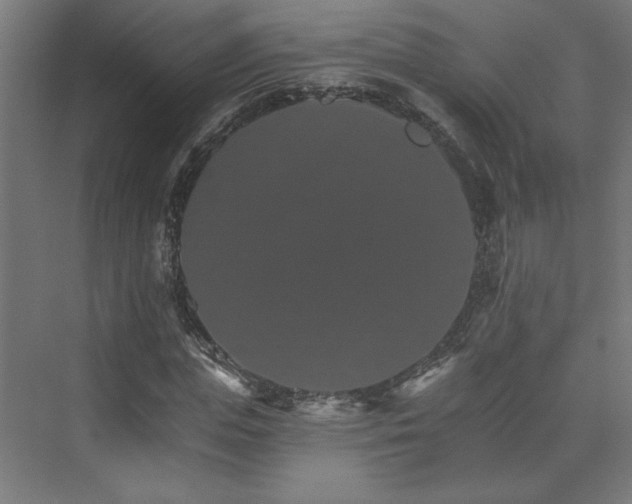 X0000074000823200608211411