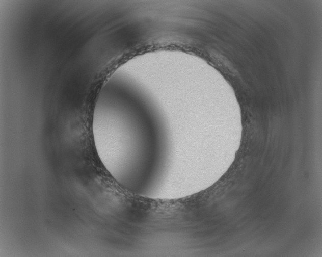 X0000074000824200608211411
