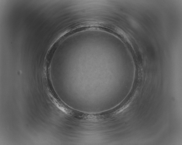 X0000074000827200608211411