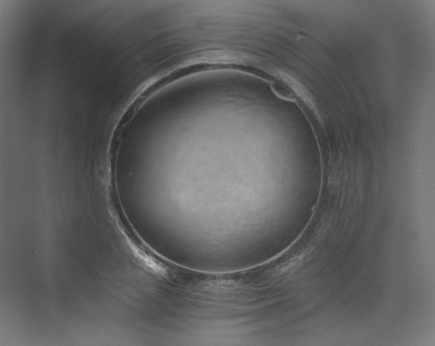 X0000074000837200608211412