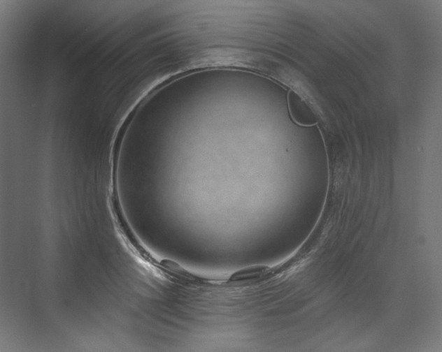 X0000074000844200608211412