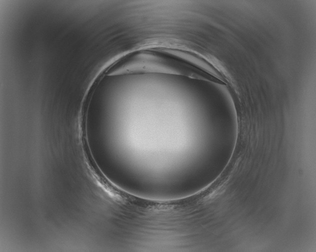 X0000074000846200608211412