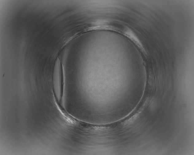 X0000074000849200608211412