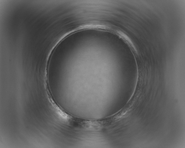 X0000074000852200608211412