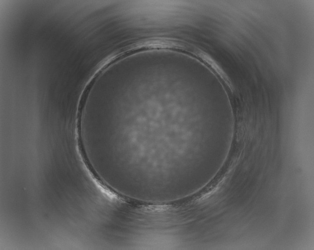 X0000074000853200608211412