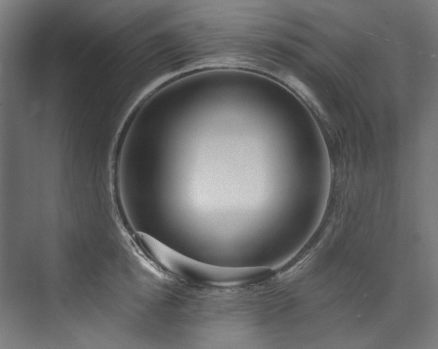 X0000074000854200608211412