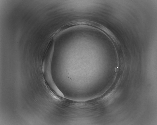 X0000074000857200608211412