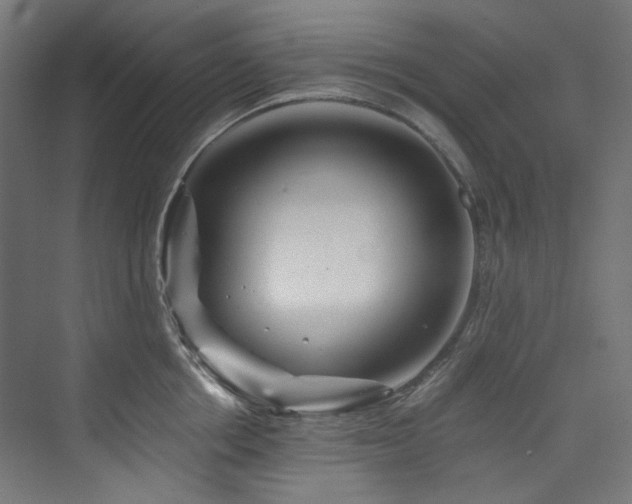 X0000074000858200608211412