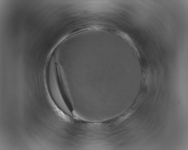 X0000074000859200608211412