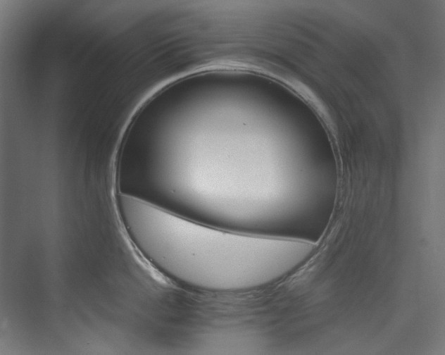 X0000074000862200608211412
