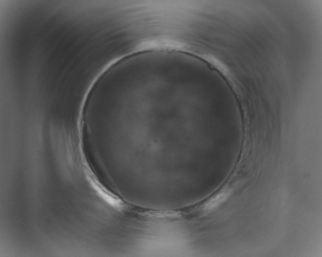 X0000074000864200608211412