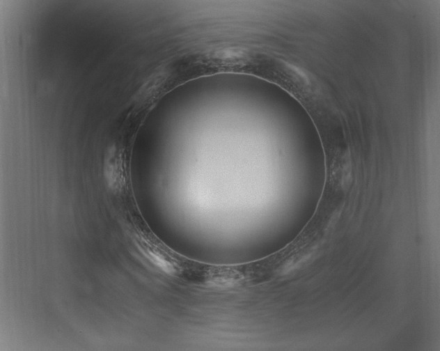X0000074000866200608211411