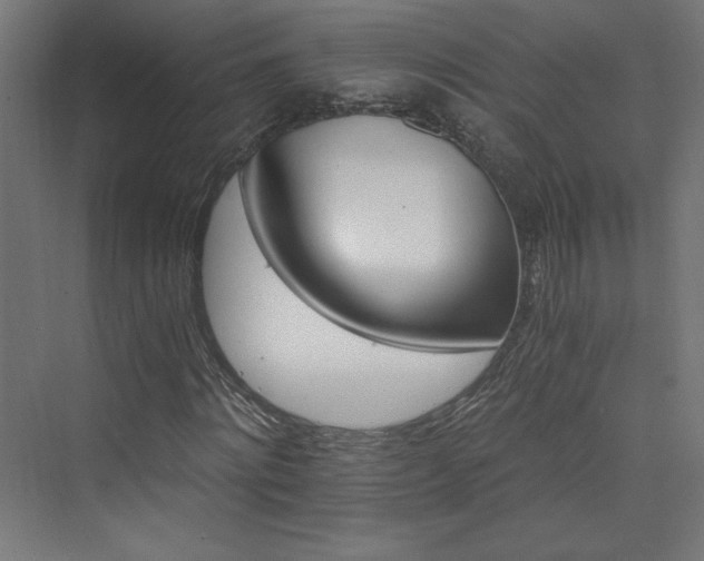 X0000074000868200608211411