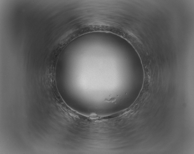 X0000074000870200608211411