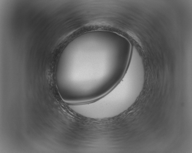 X0000074000872200608211411