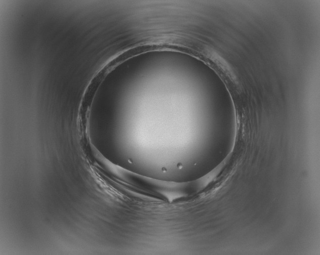 X0000074000876200608211411