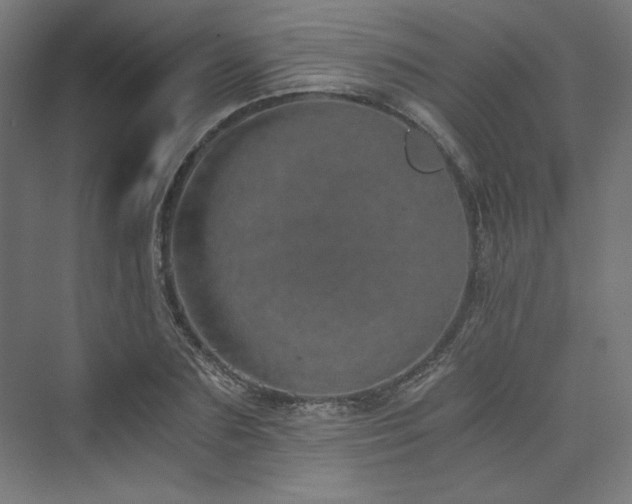 X0000074000883200608211411