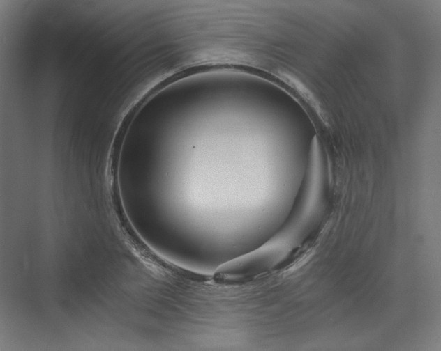 X0000074000885200608211411