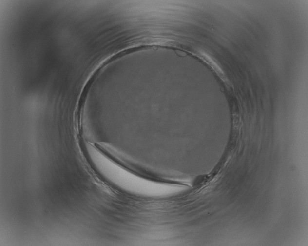 X0000074000891200608211411