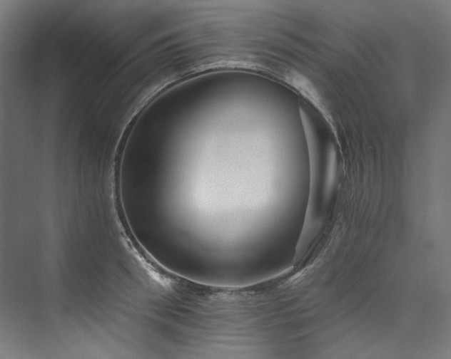 X0000074000898200608211411