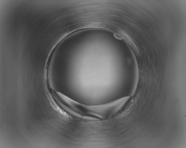 X0000074000900200608211411