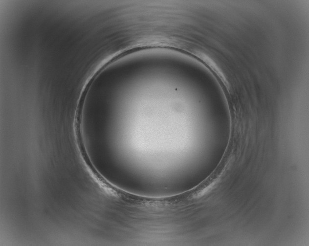 X0000074000901200608211411