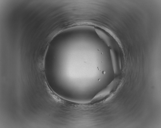 X0000074000905200608211411
