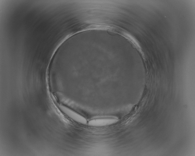 X0000074000907200608211410