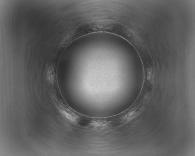 X0000074000915200608211410
