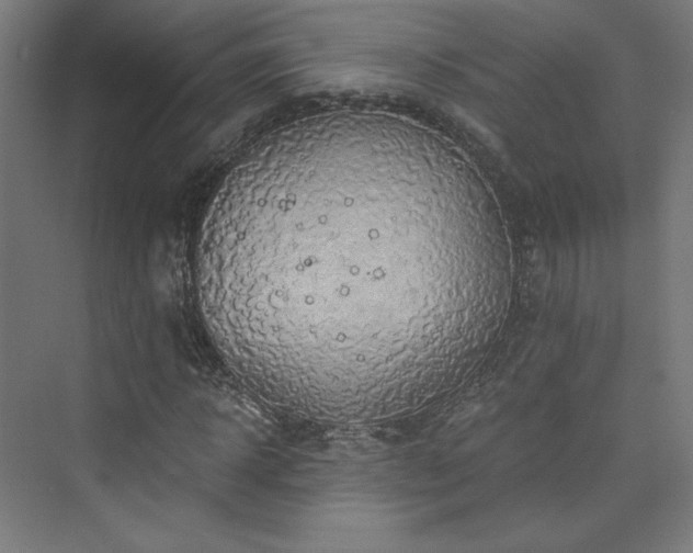X0000074000918200608211410