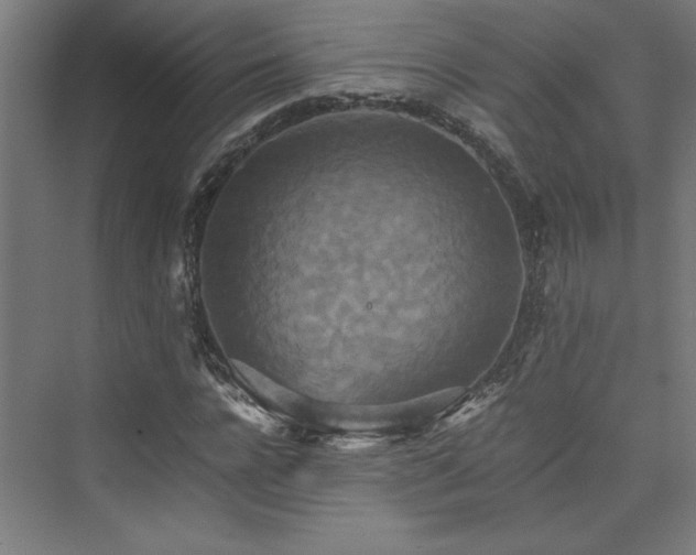 X0000074000920200608211410