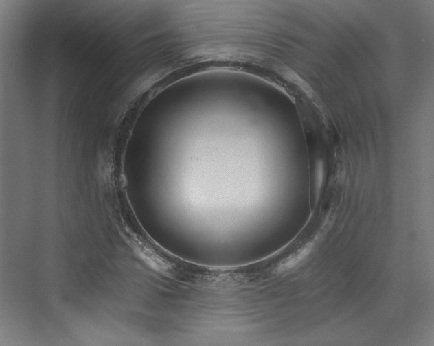 X0000074000922200608211410